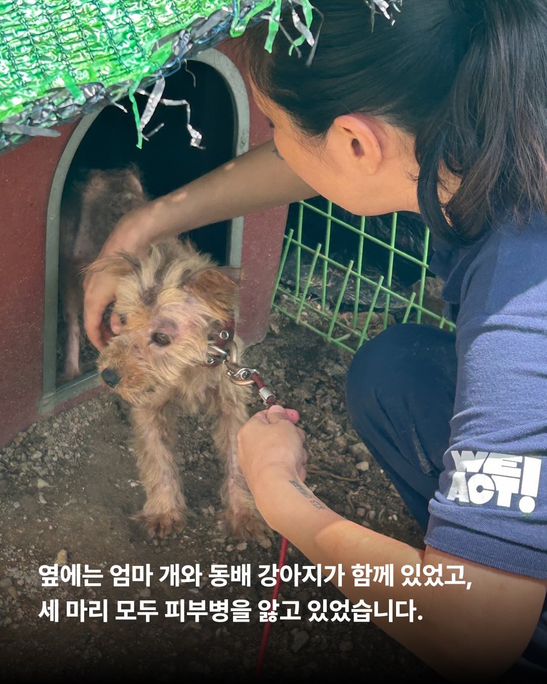 상세 사진 5