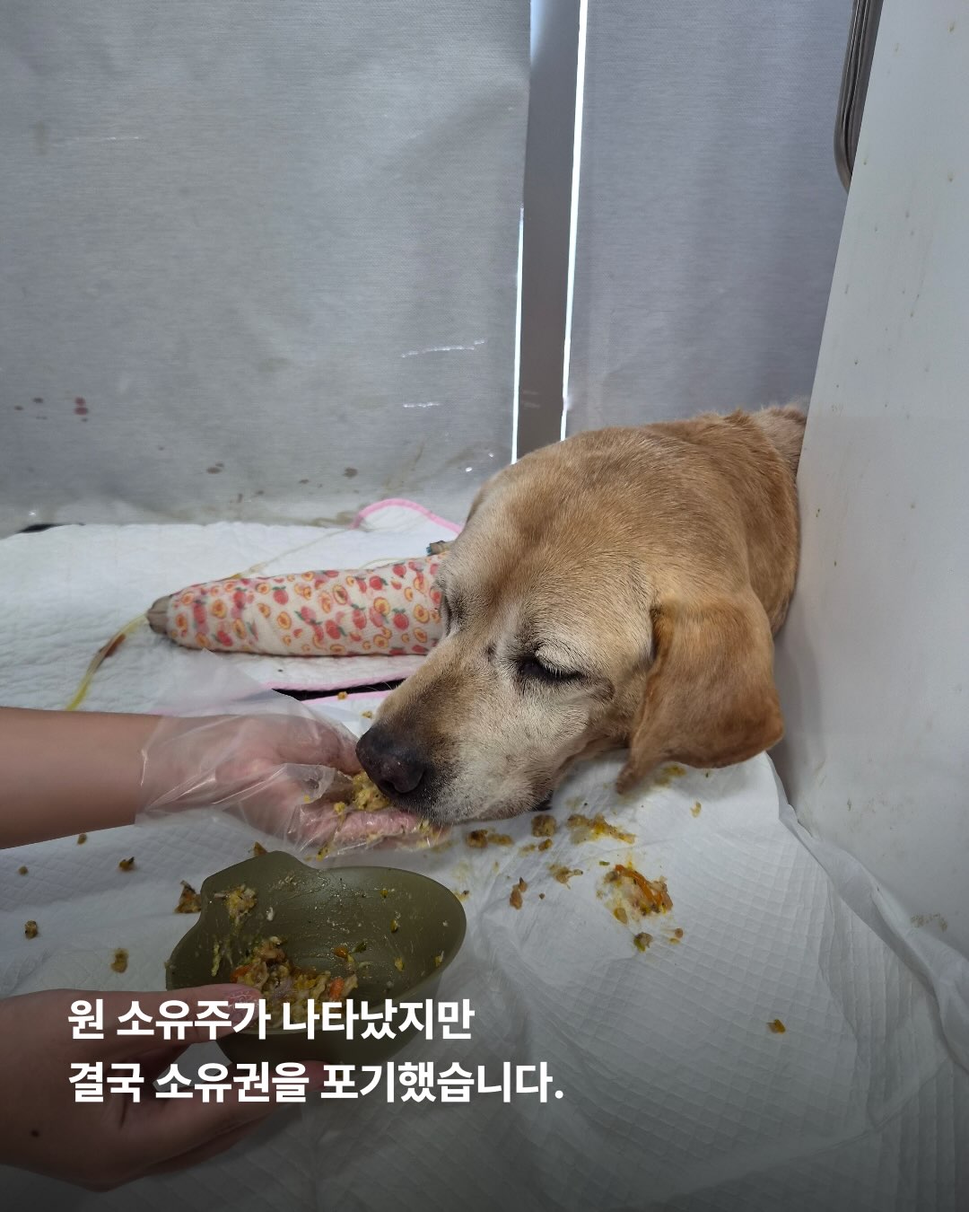 상세 사진 3
