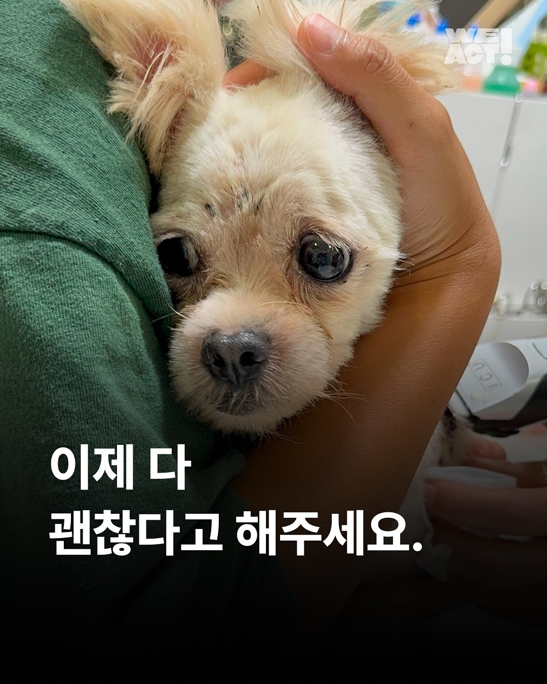 상세 사진 1