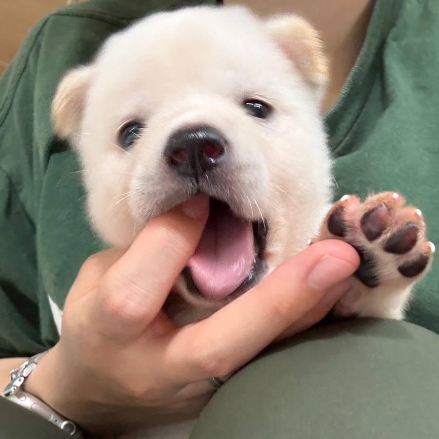 상세 사진 5