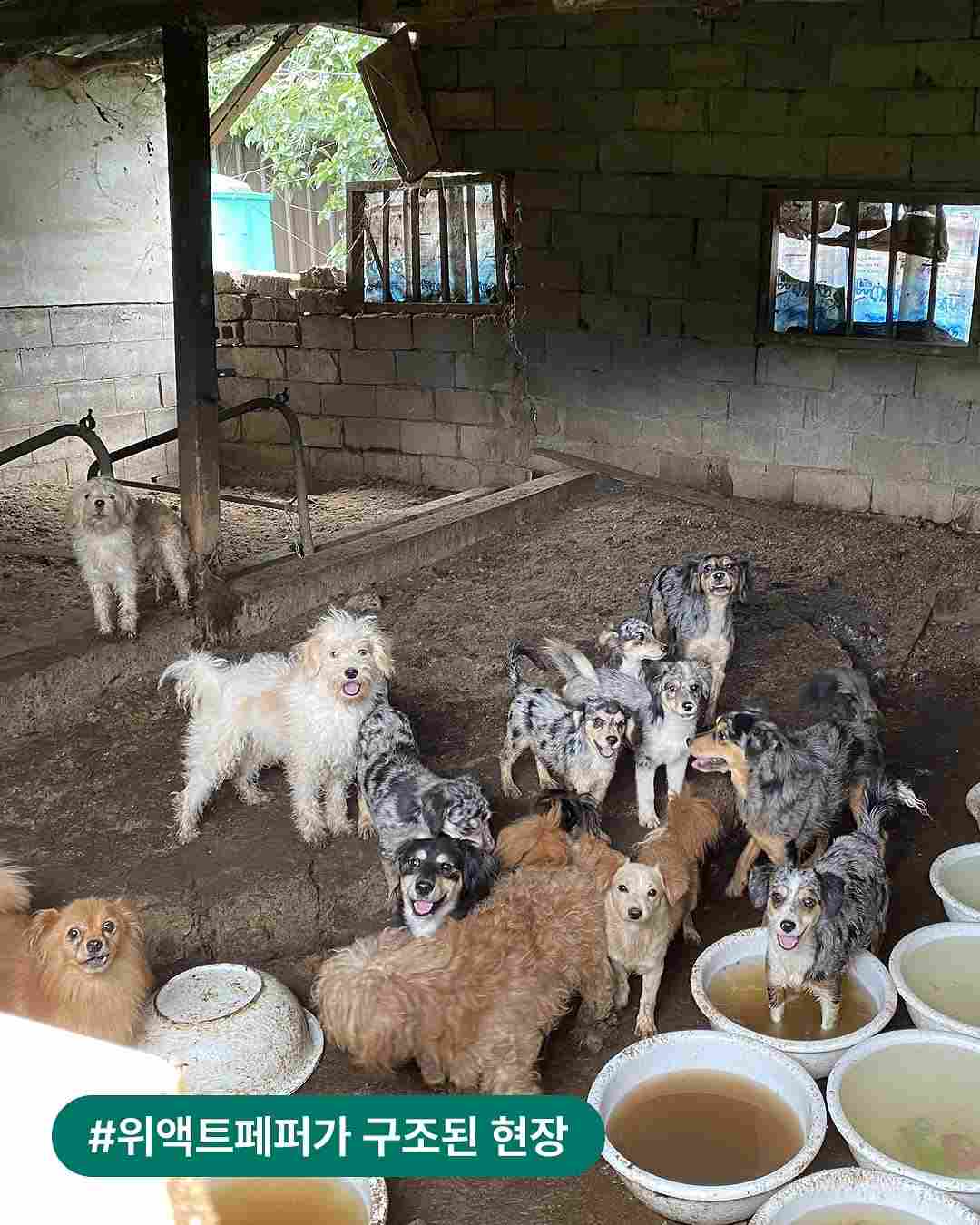상세 사진 2