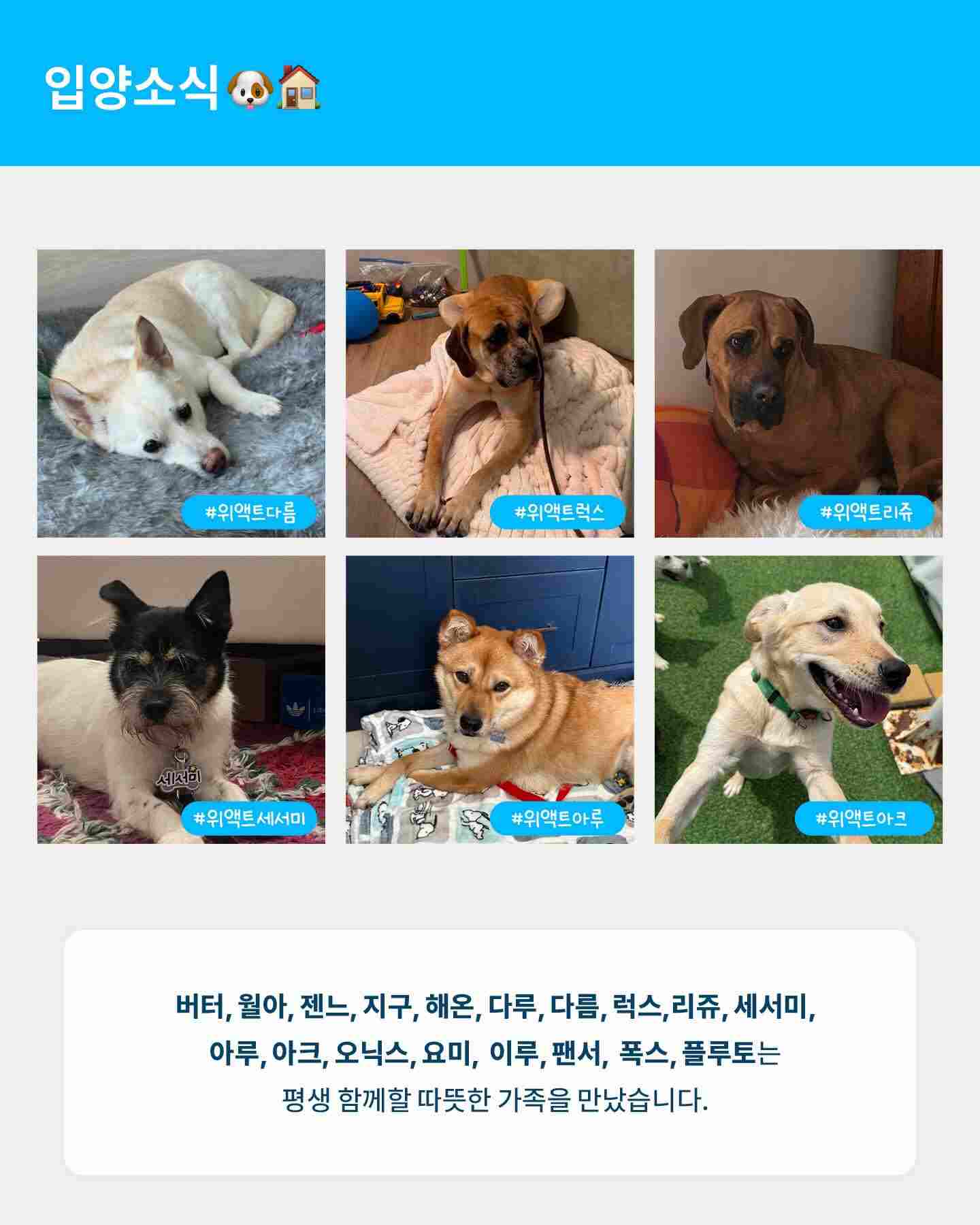 상세 사진 3