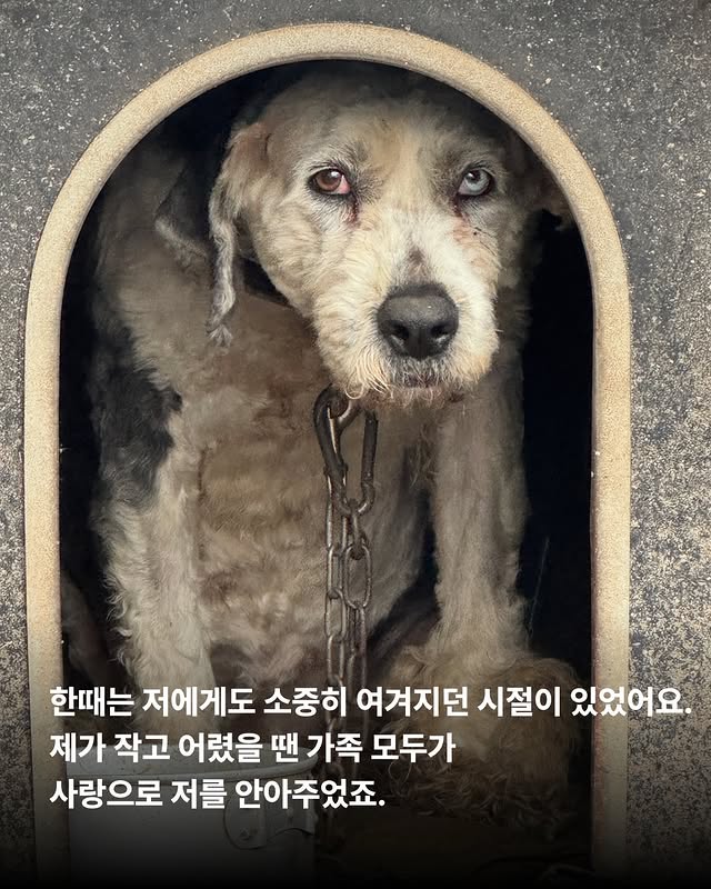상세 사진 2