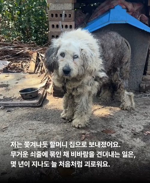 상세 사진 4