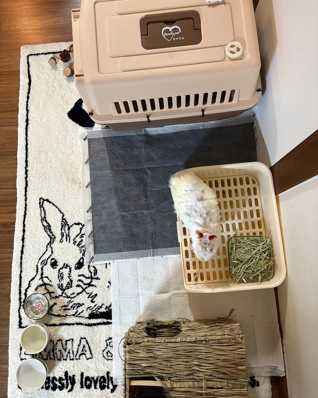 상세 사진 7