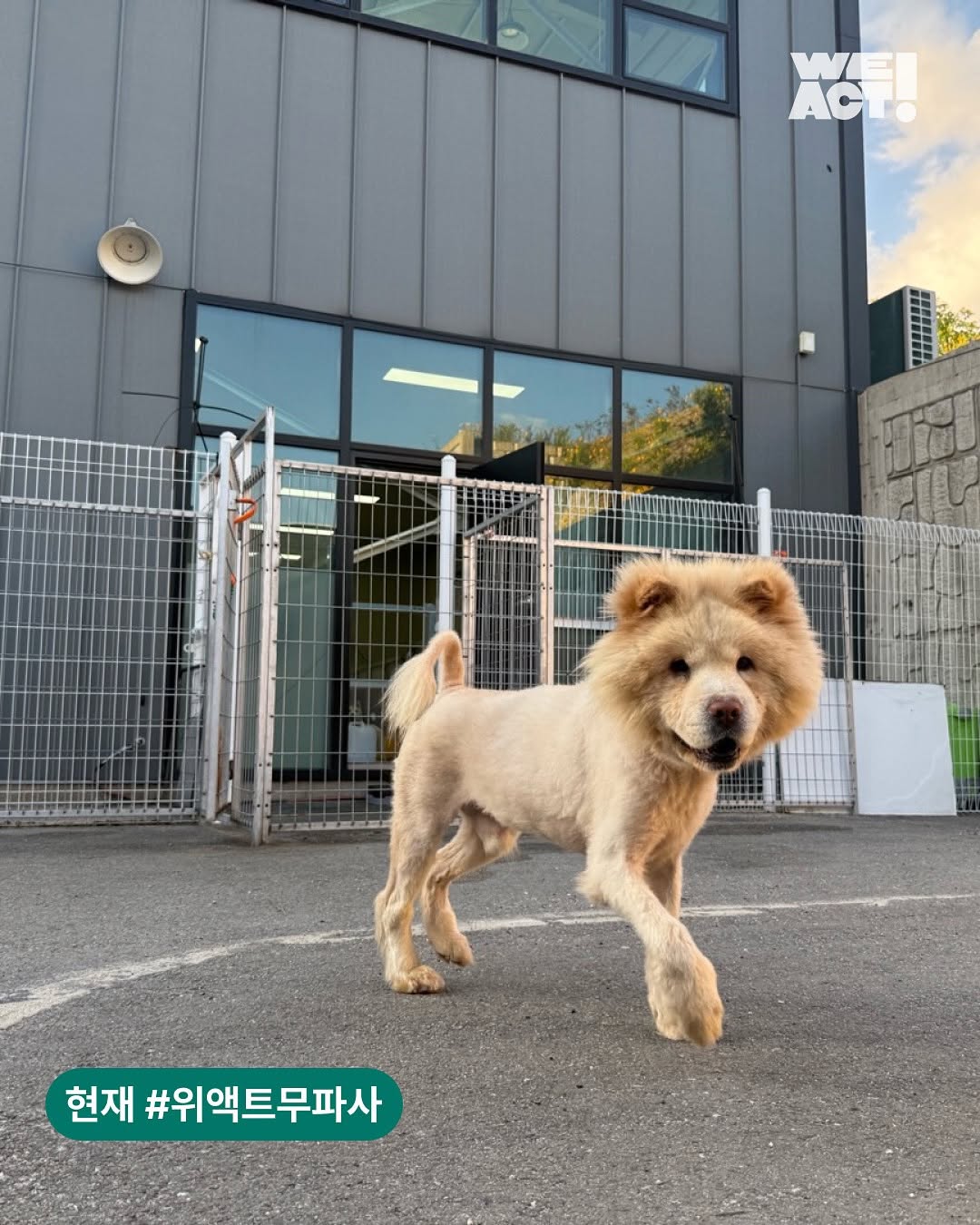 상세 사진 7