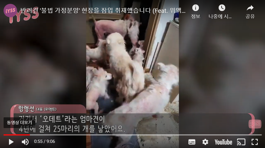 상세 사진 1