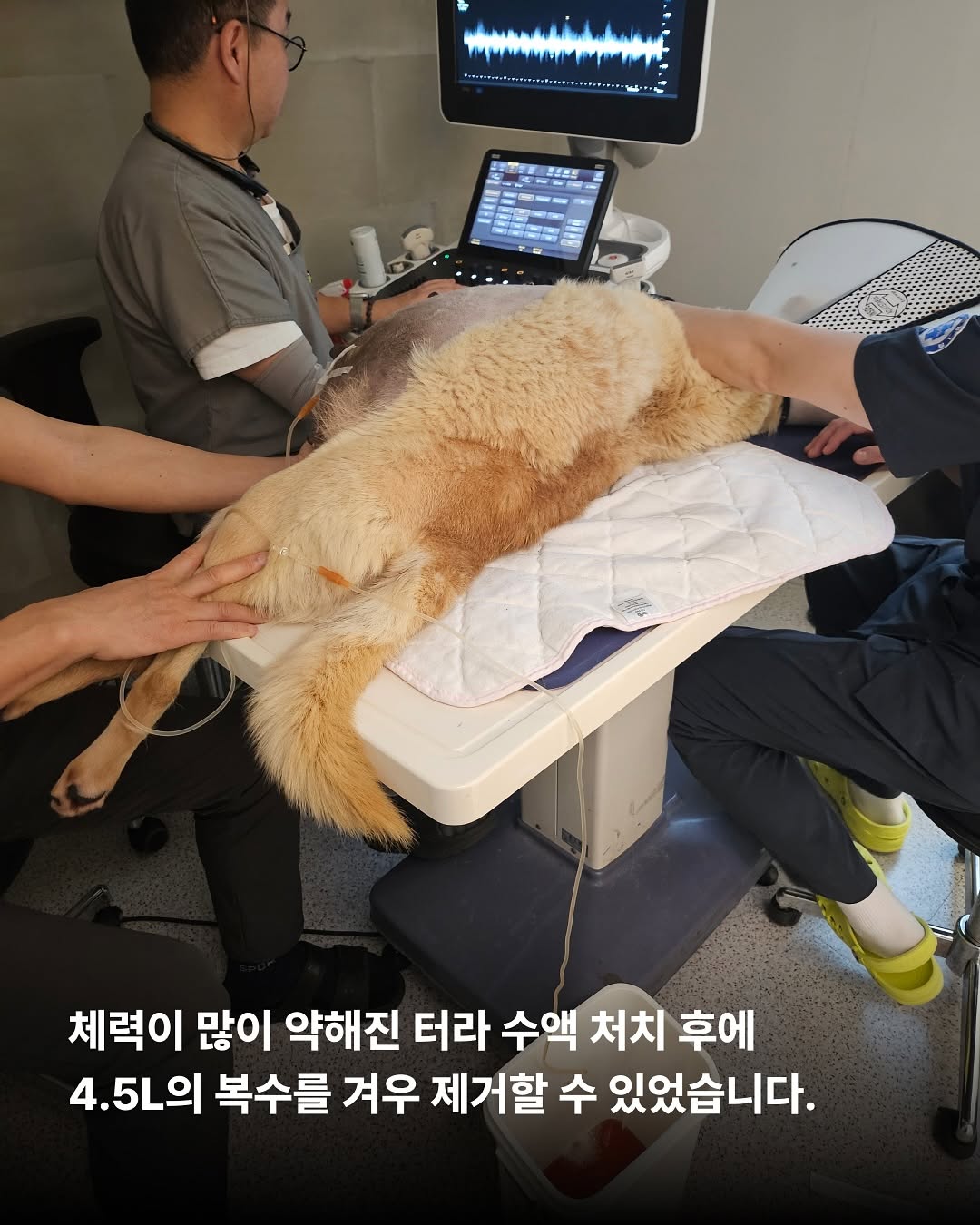 상세 사진 6