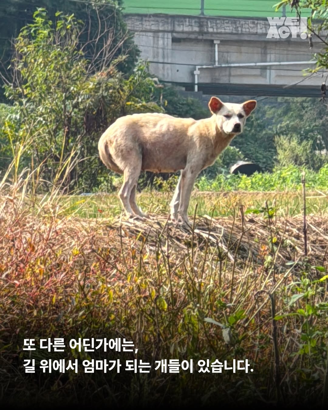 상세 사진 3