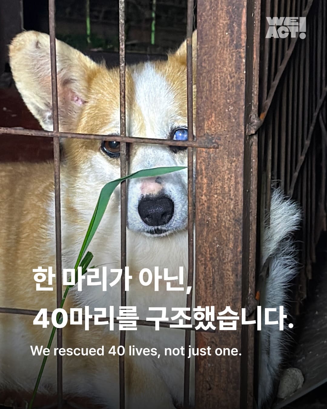 상세 사진 1
