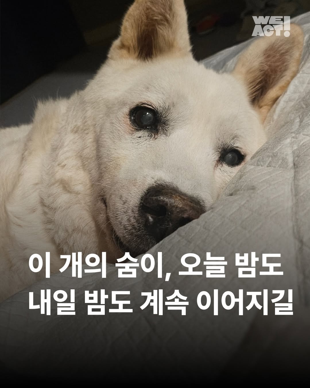 상세 사진 1