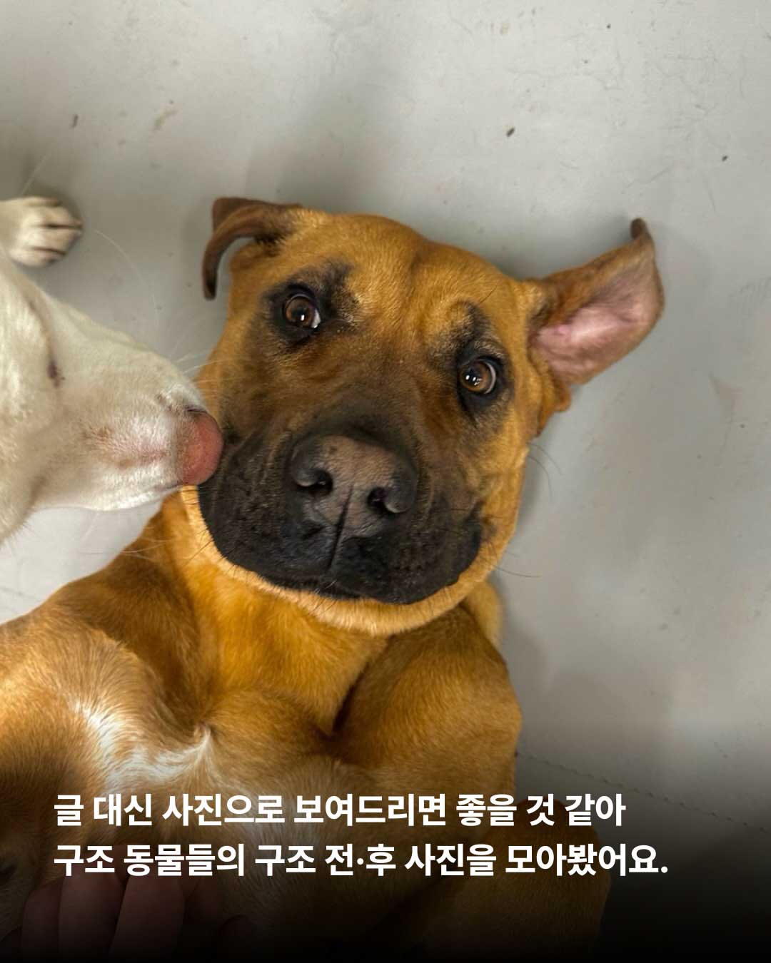 상세 사진 4