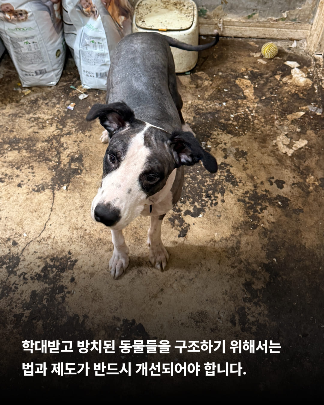 상세 사진 4