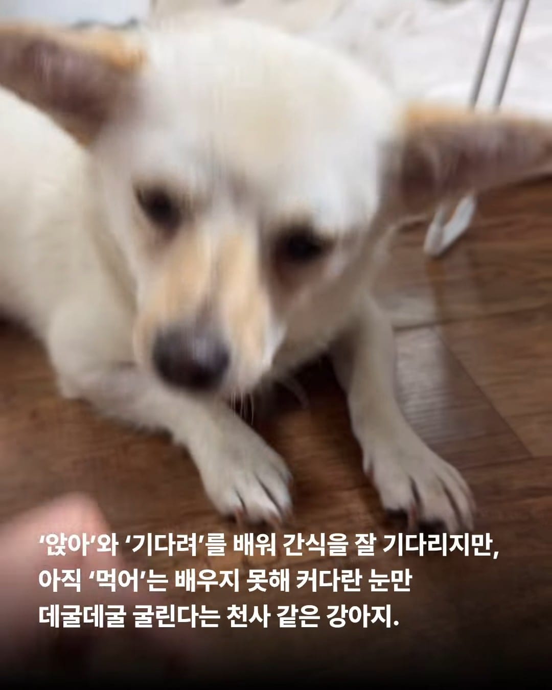 상세 사진 8