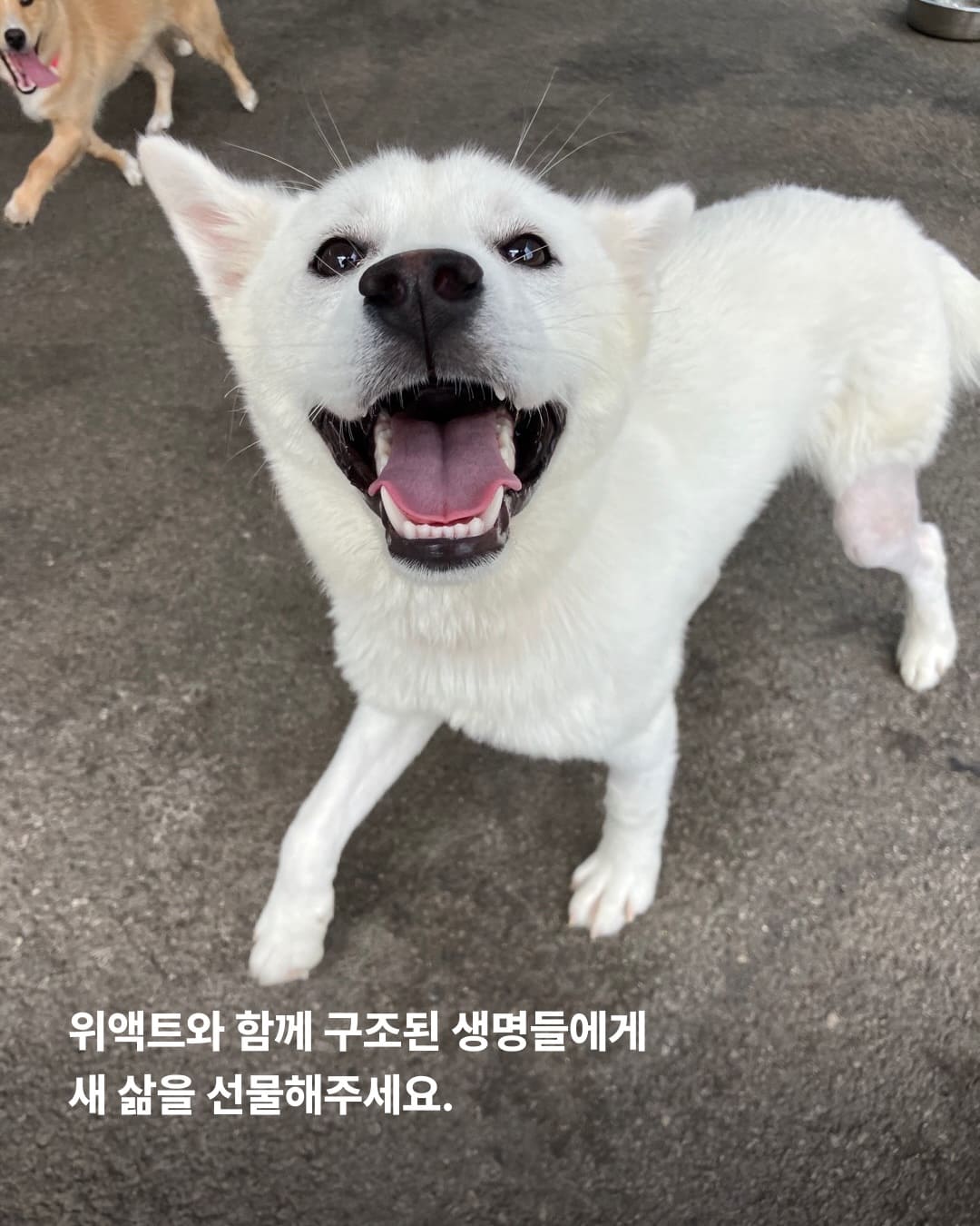 상세 사진 9