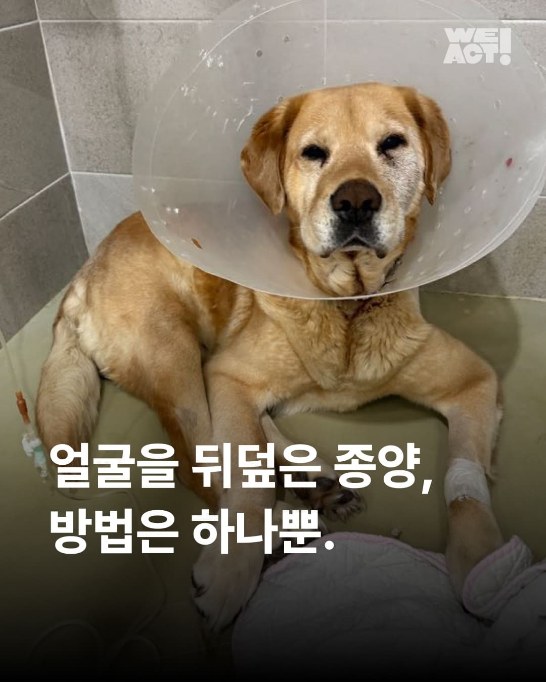 상세 사진 1