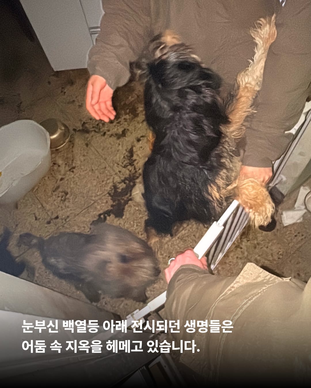 상세 사진 11