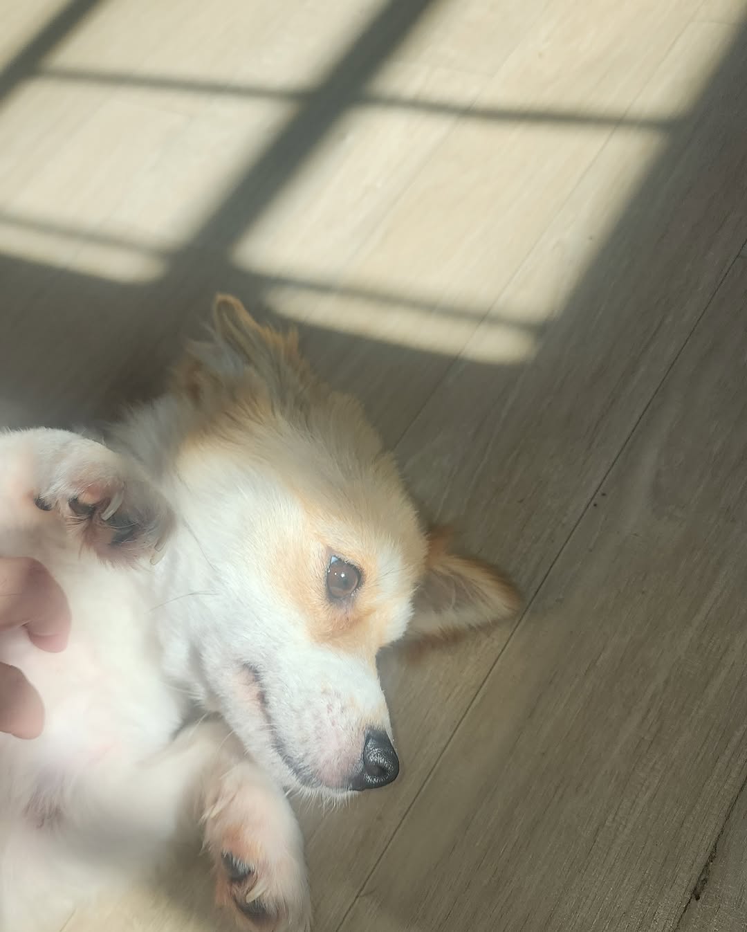 상세 사진 8