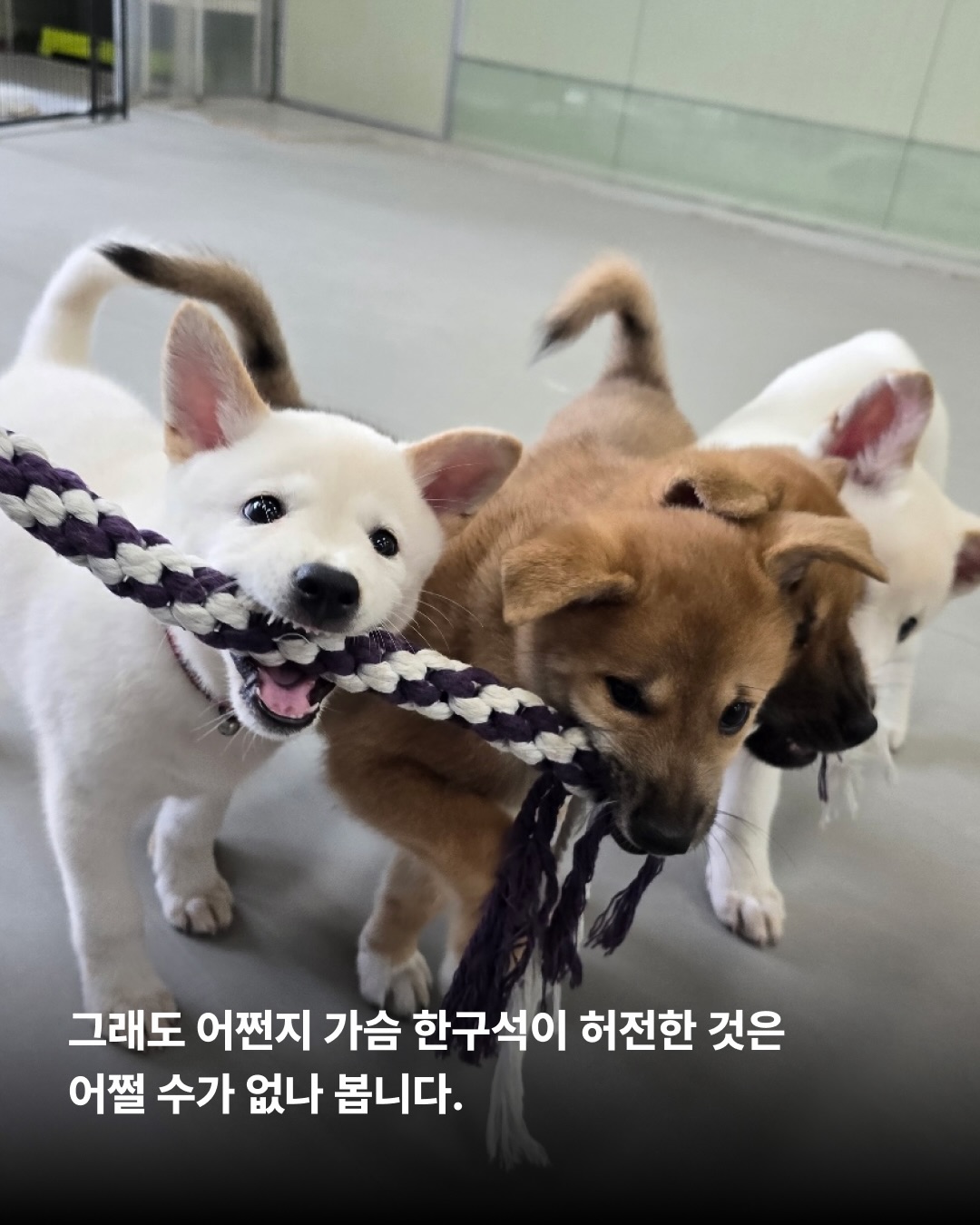상세 사진 9