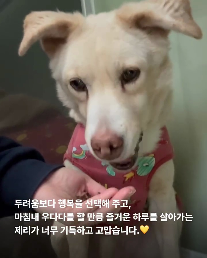 상세 사진 7