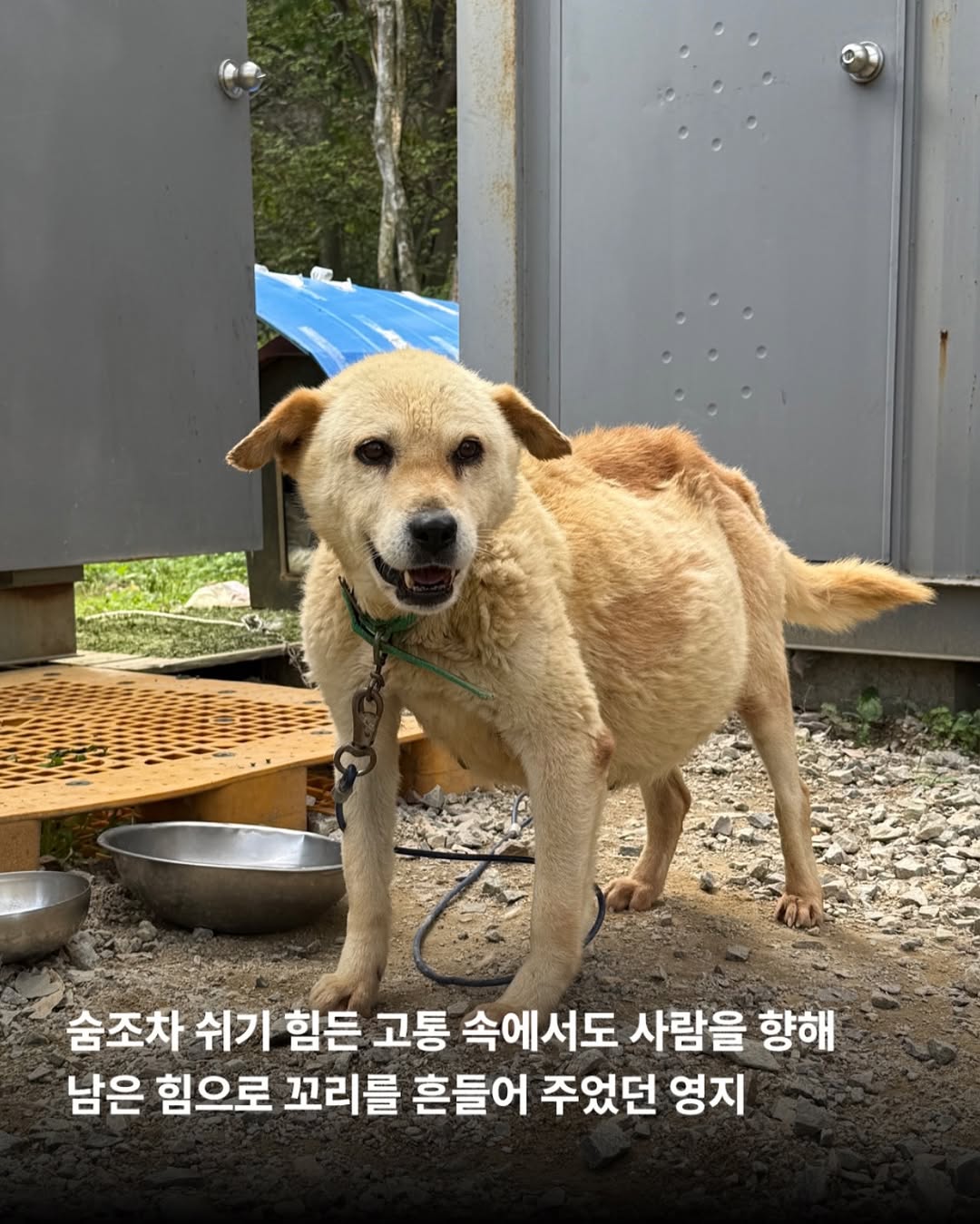 상세 사진 10