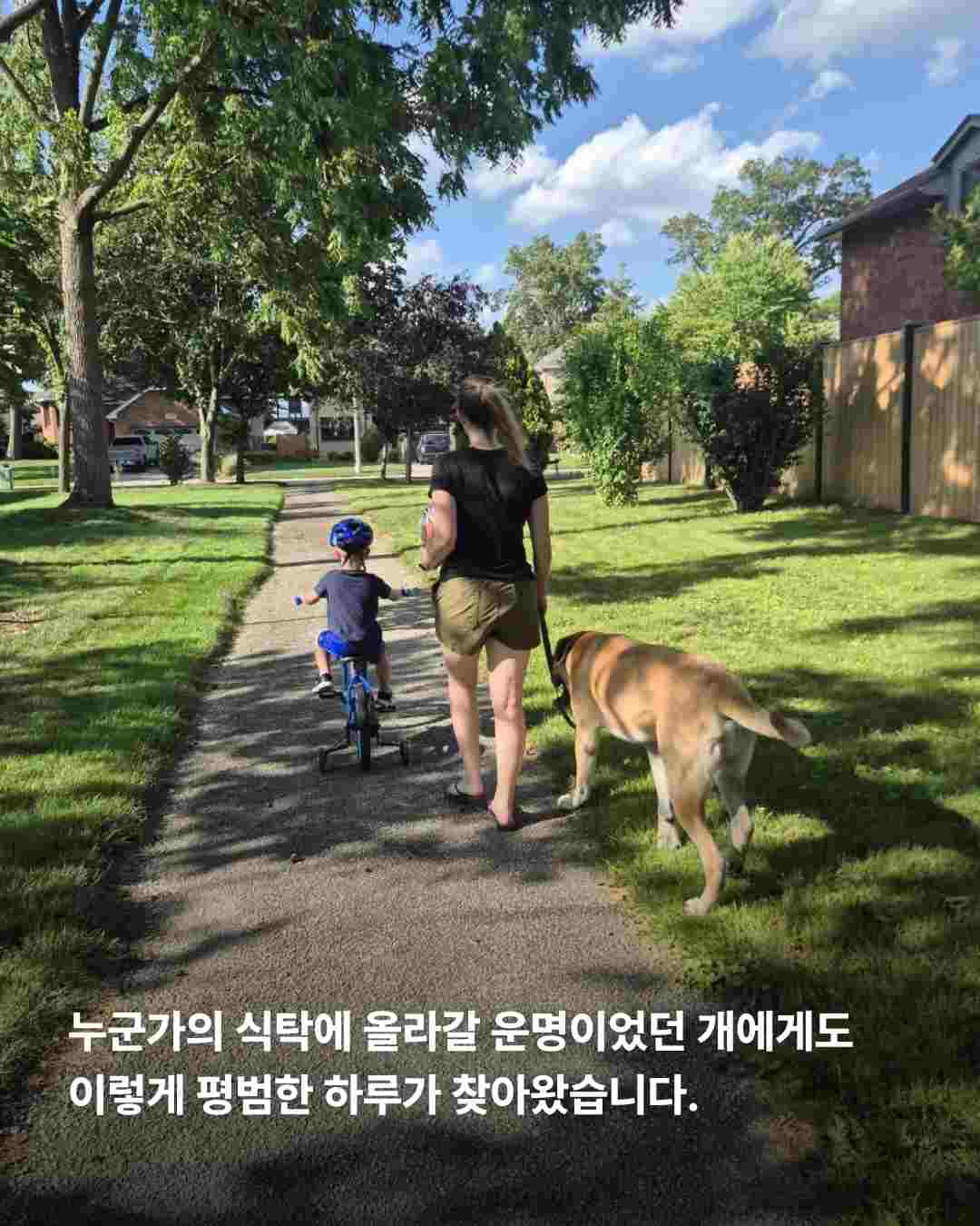 상세 사진 12