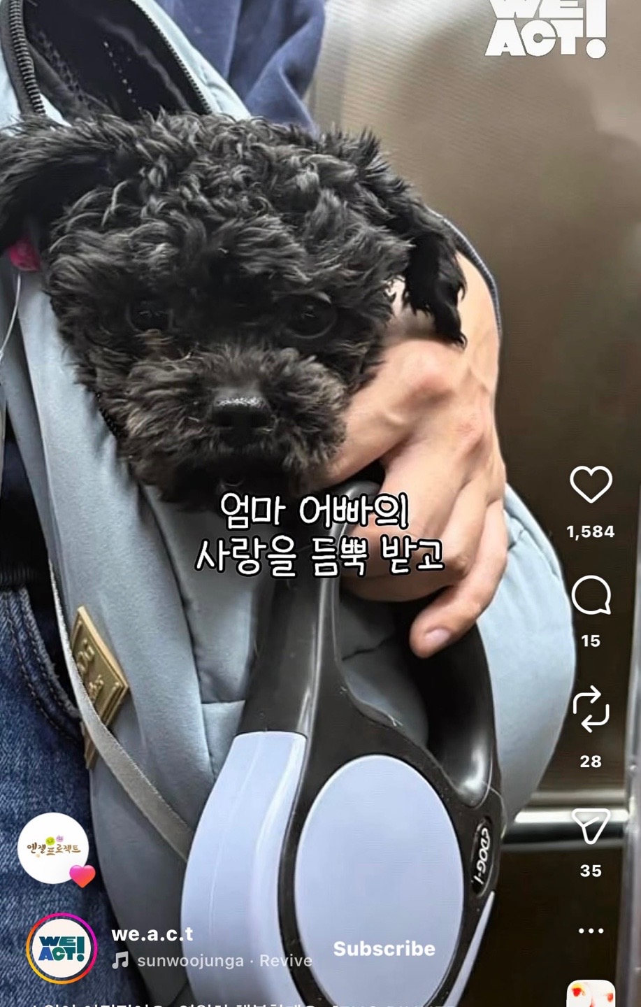 상세 사진 14