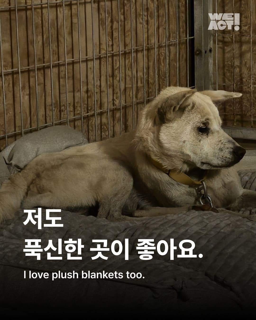 상세 사진 1