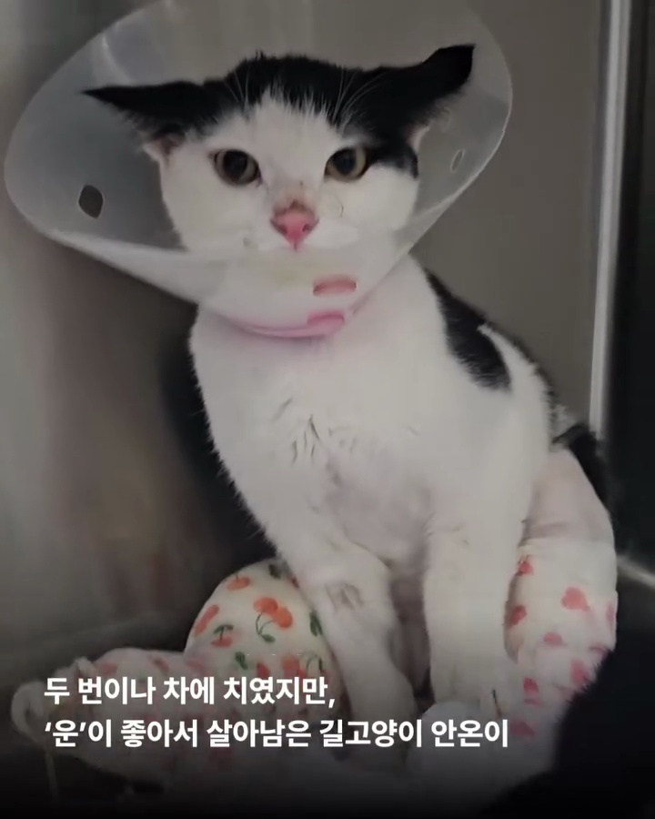 상세 사진 2