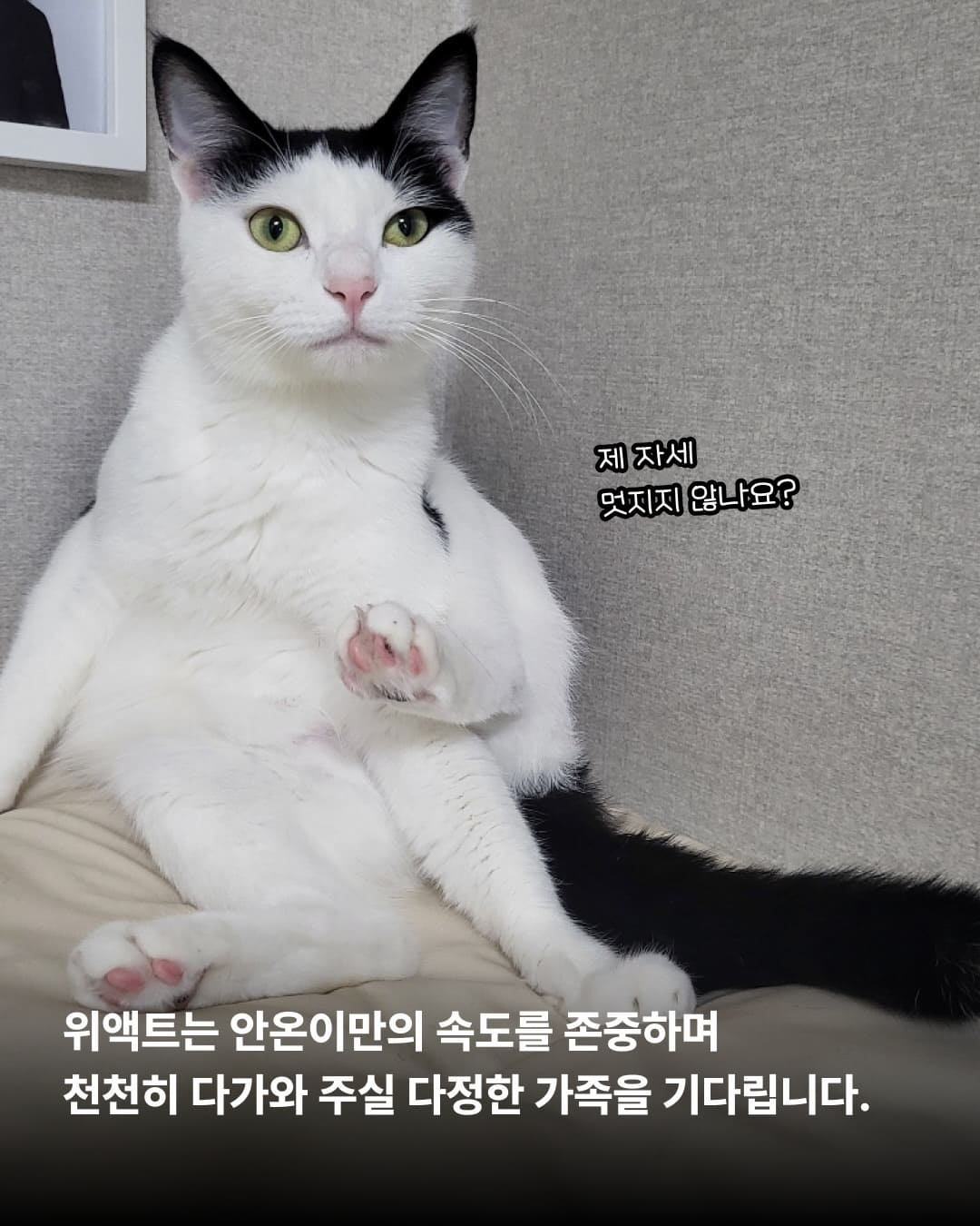 상세 사진 10
