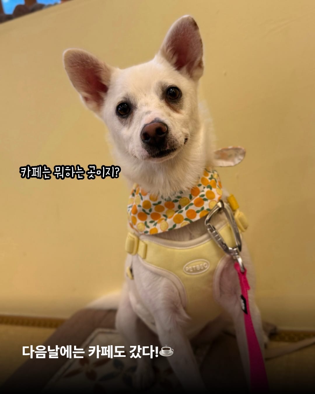 상세 사진 8