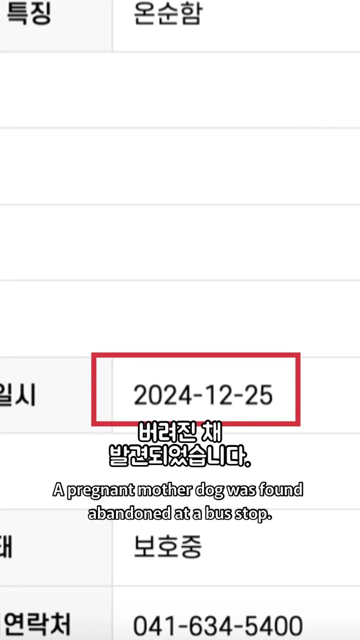 상세 사진 2