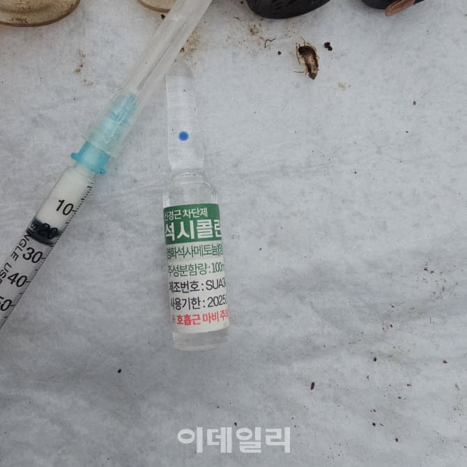 상세 사진 2