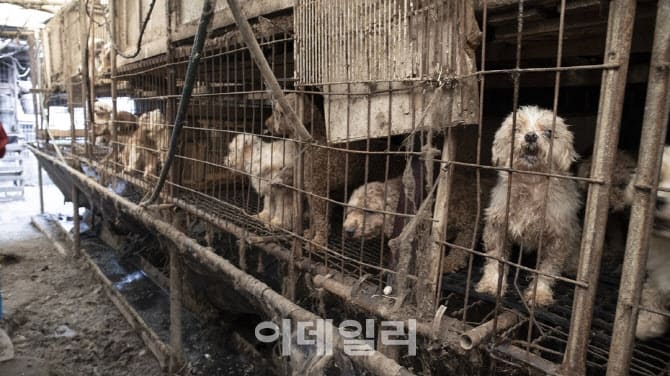 상세 사진 1