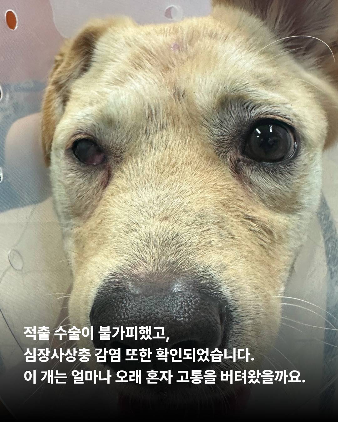 상세 사진 5