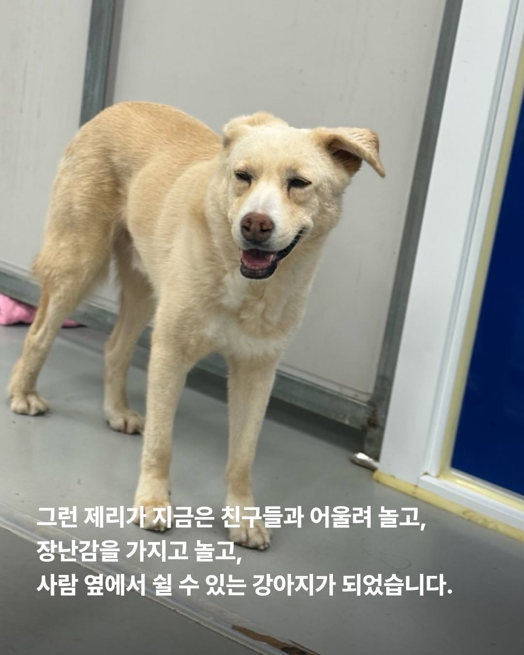 상세 사진 4