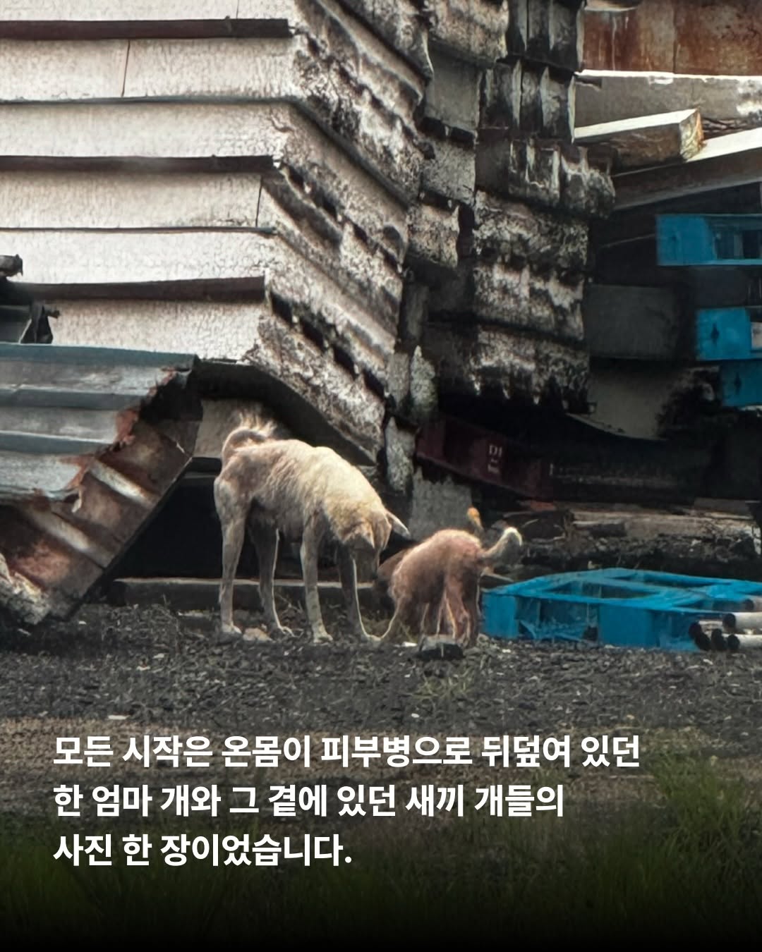 상세 사진 4