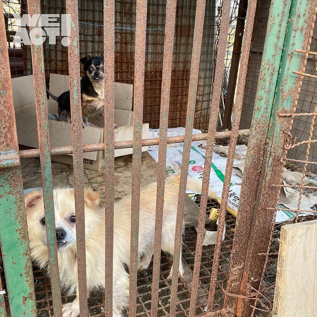 상세 사진 8