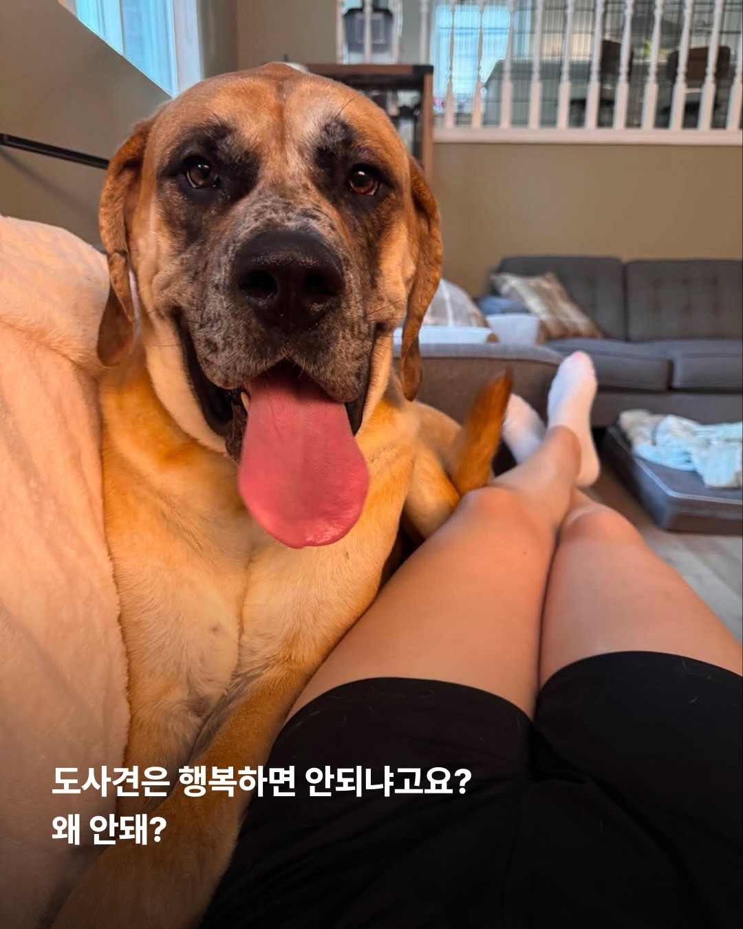 상세 사진 13