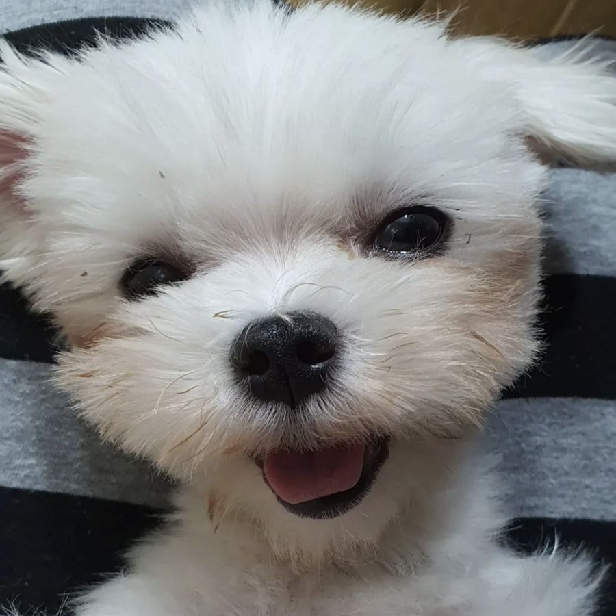 상세 사진 3