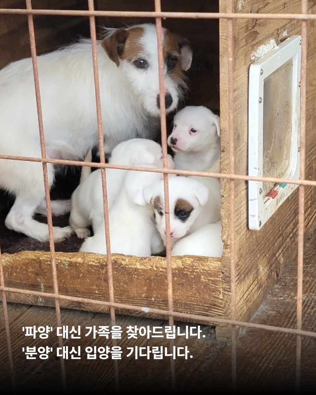 상세 사진 5