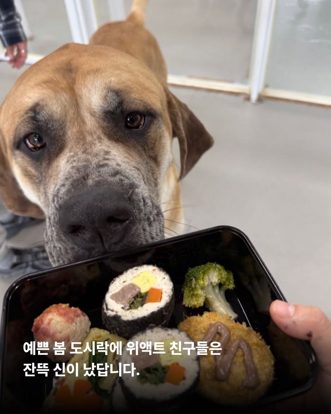 상세 사진 4