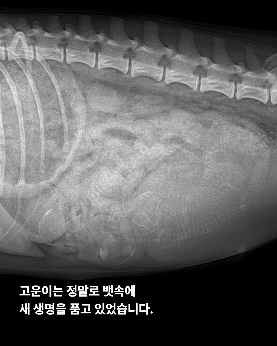상세 사진 5