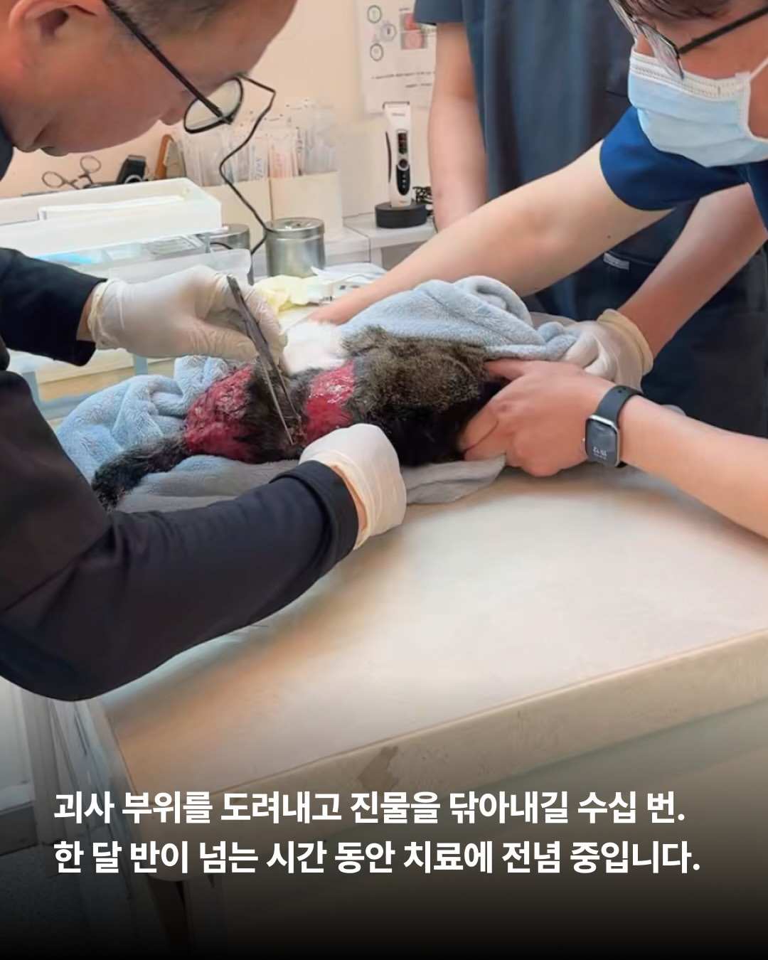 상세 사진 3