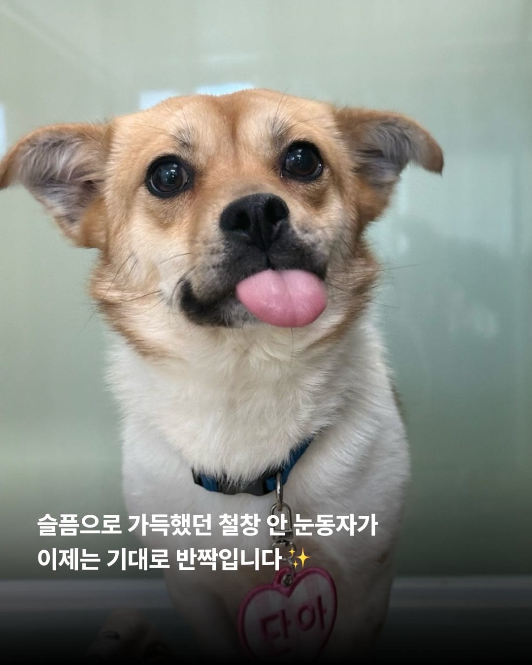 상세 사진 4