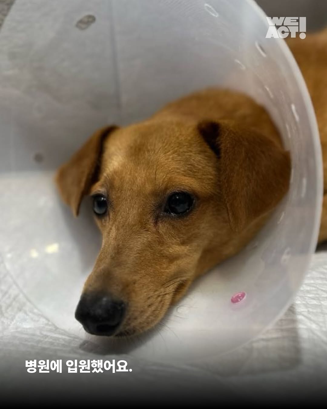 상세 사진 5