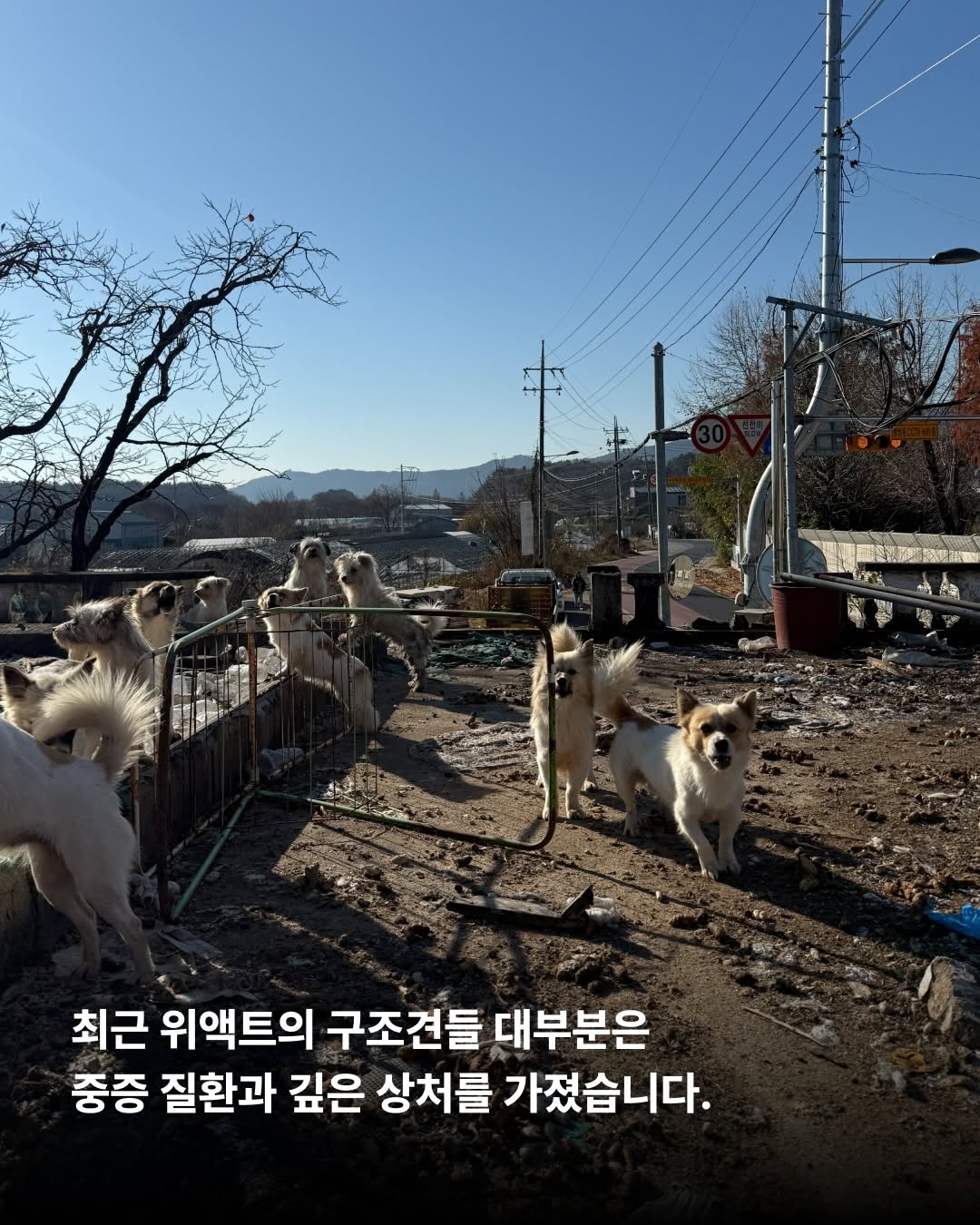 상세 사진 3