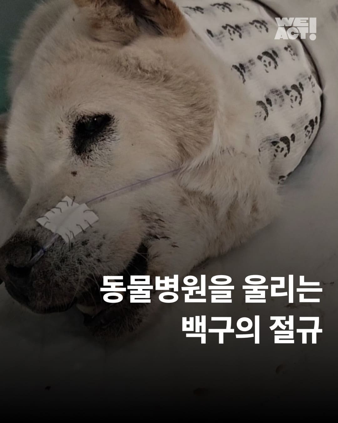 상세 사진 1