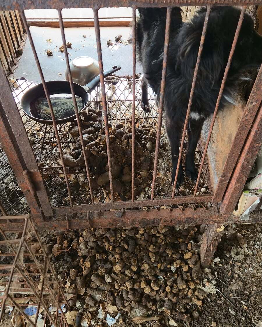 상세 사진 10