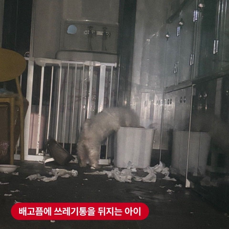 상세 사진 2
